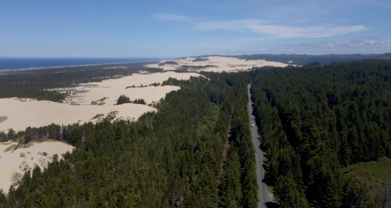 Oregon Dunes Horsfall Area