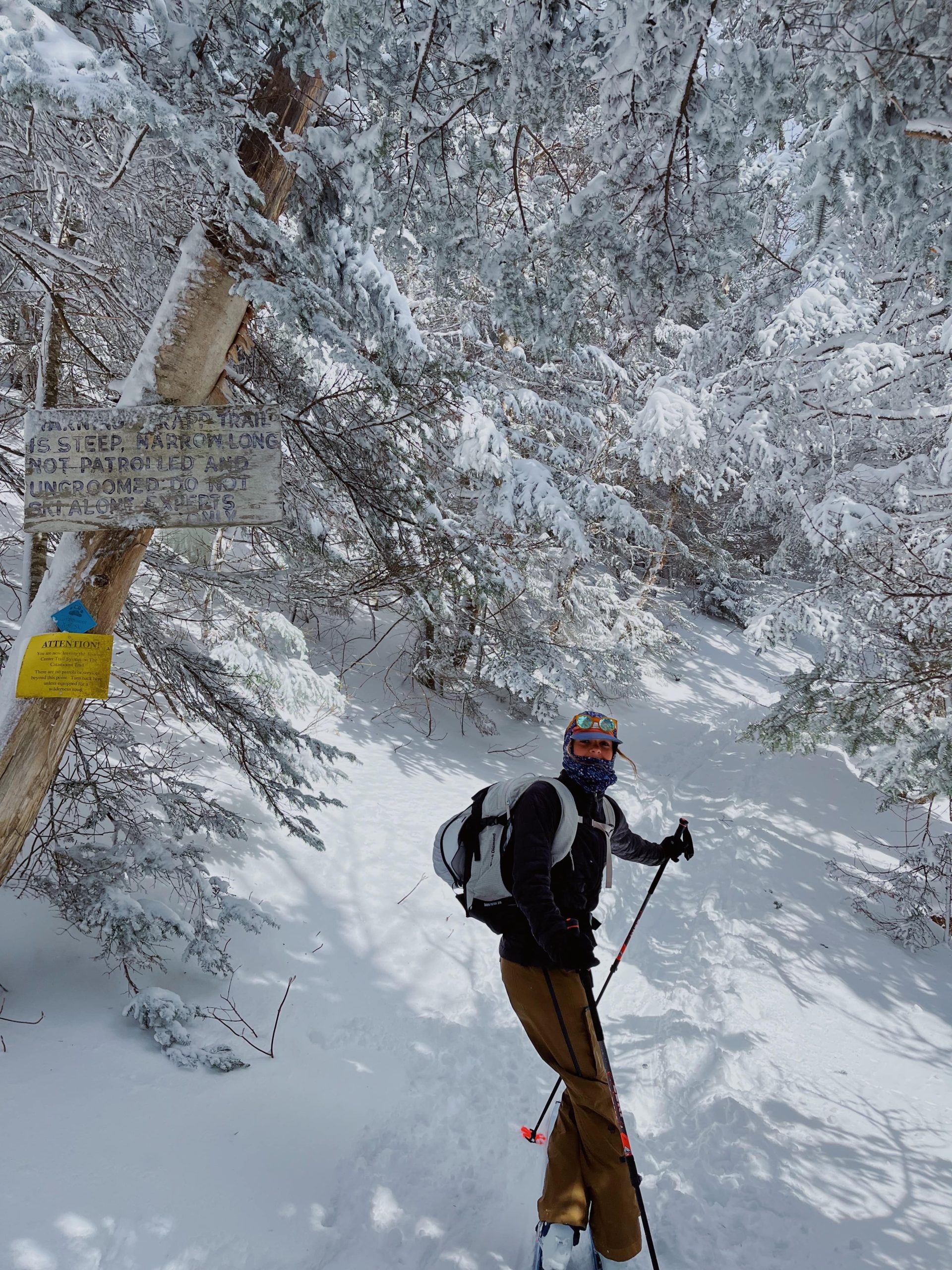 Backcountry ski trails at Bolton, leading up to the highest point on the catamount trail