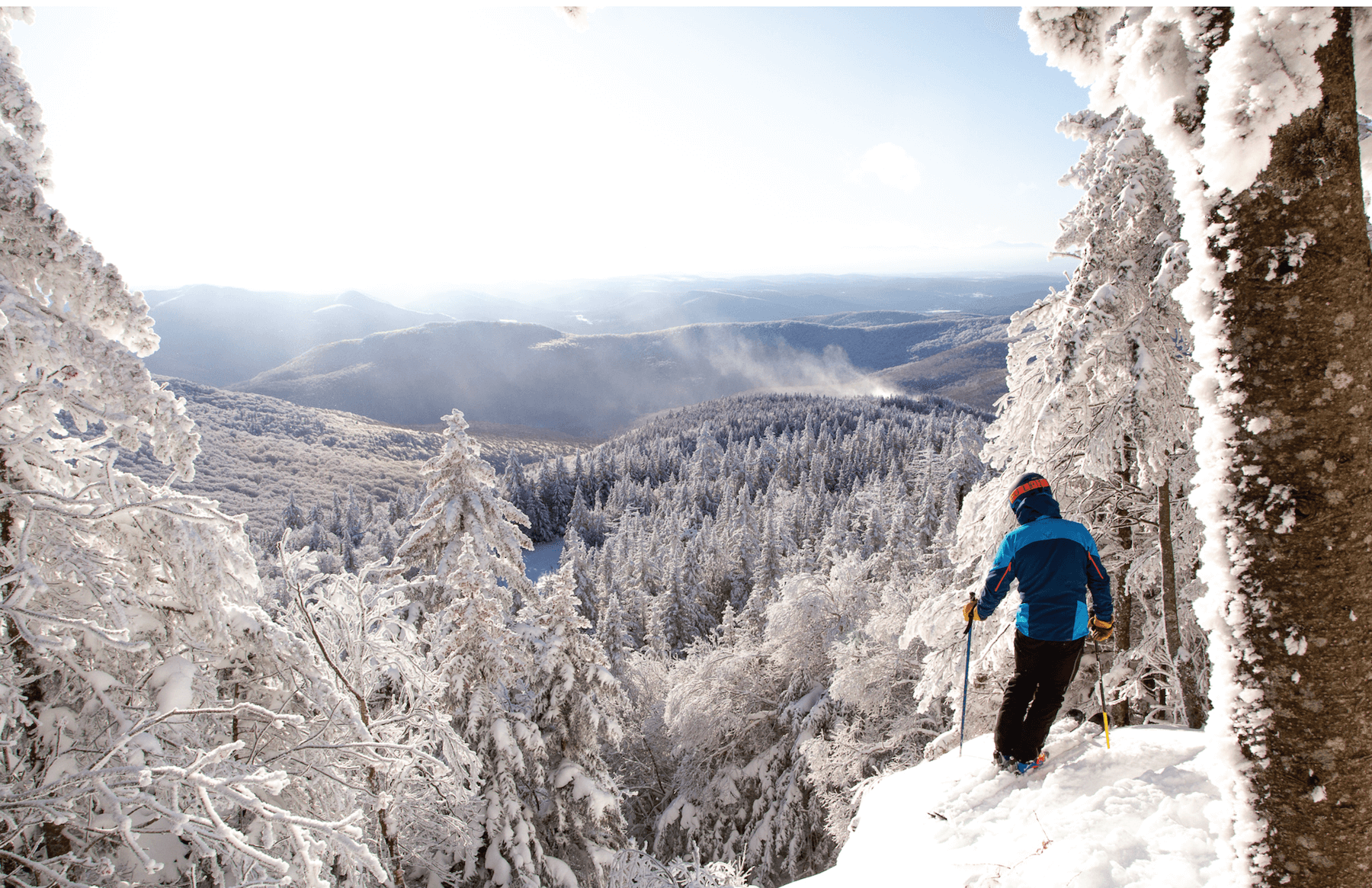 Skier above powdery tree line at Bolton Valley, VT