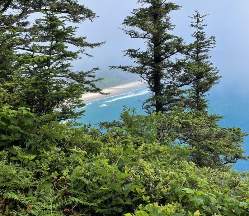 Looking out from Cape Lookout