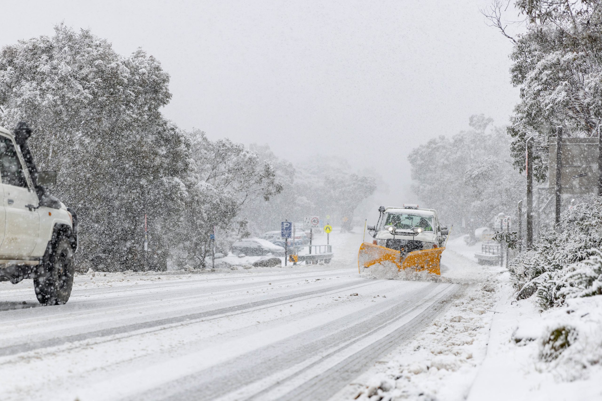 Thredbo