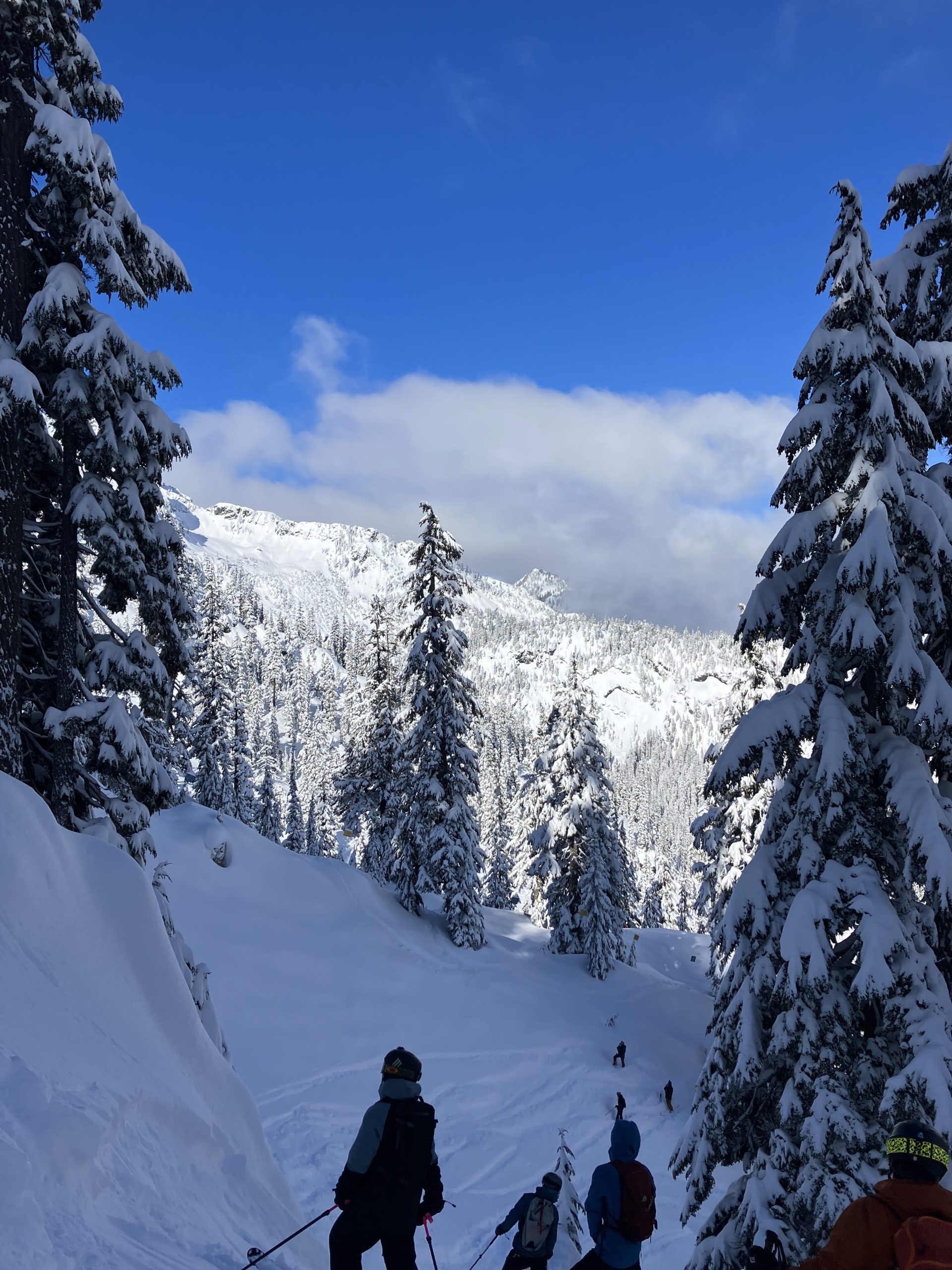 People examining a drop in the Nash Gate sidecountry, Alpental, summit at Snoqualmie, Washington