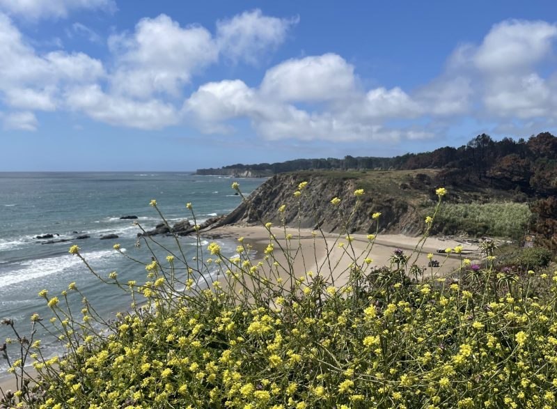 Somewhere off the beautiful Sonoma County coastline. Photo Credit: Luke Guilford