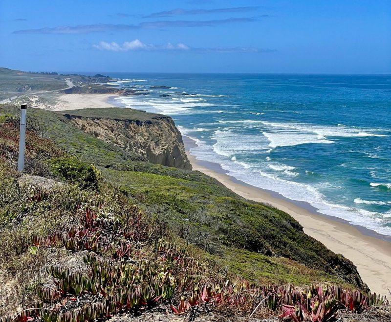 Coastline Cove | Surfboard | Hoodie | Beach Bum | Beach Day