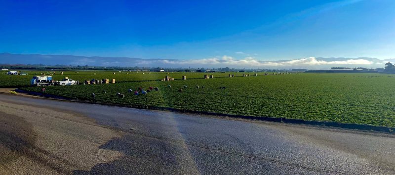 A farm in the Pajaro Valley. Photo Credit: Luke Guilford