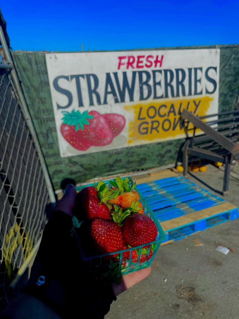 Fresh fruit from the valley! Photo Credit: Luke Guilford