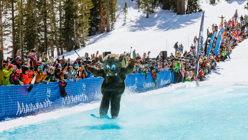 Pond skim