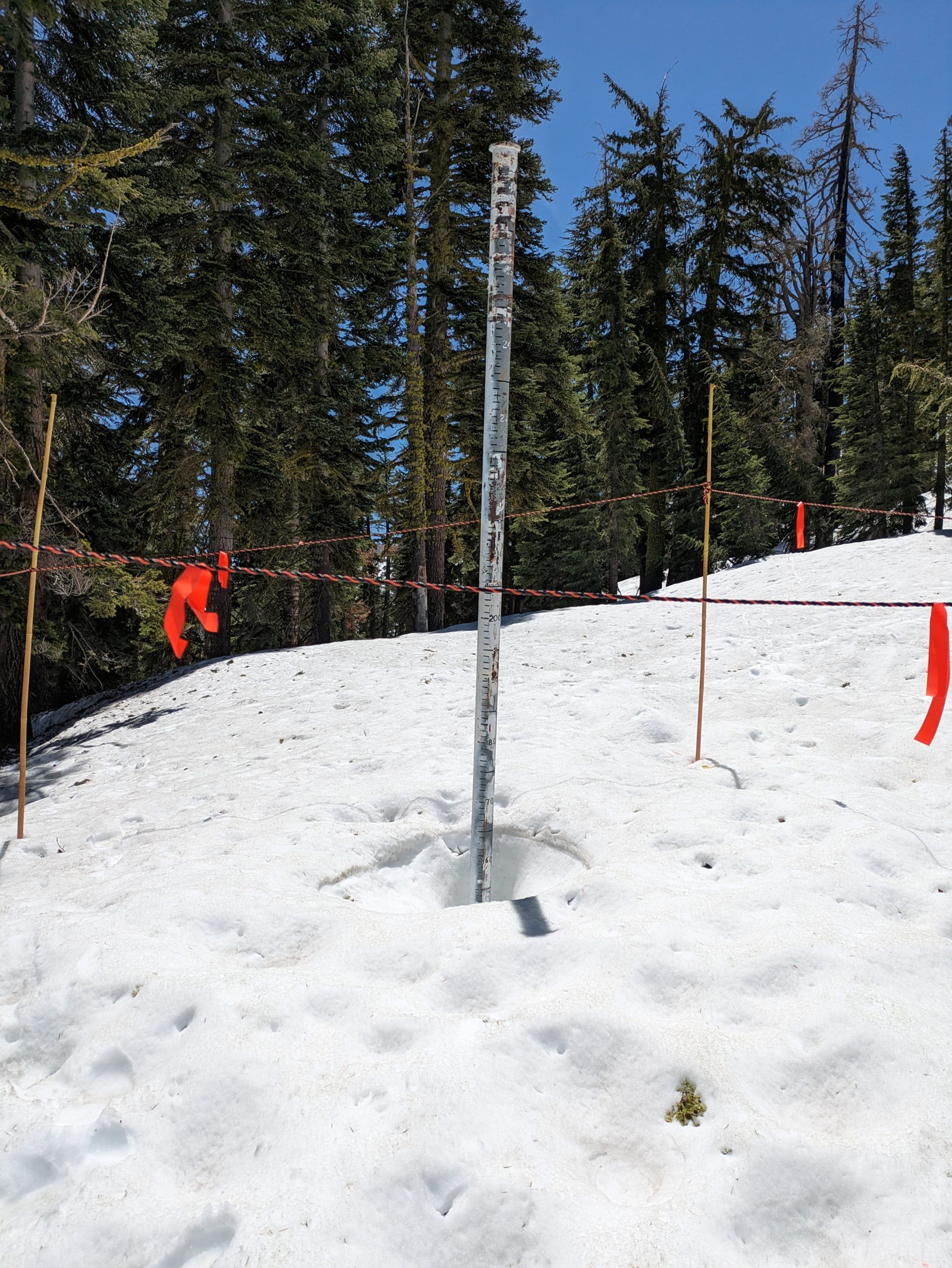 Three Sisters Snowstake