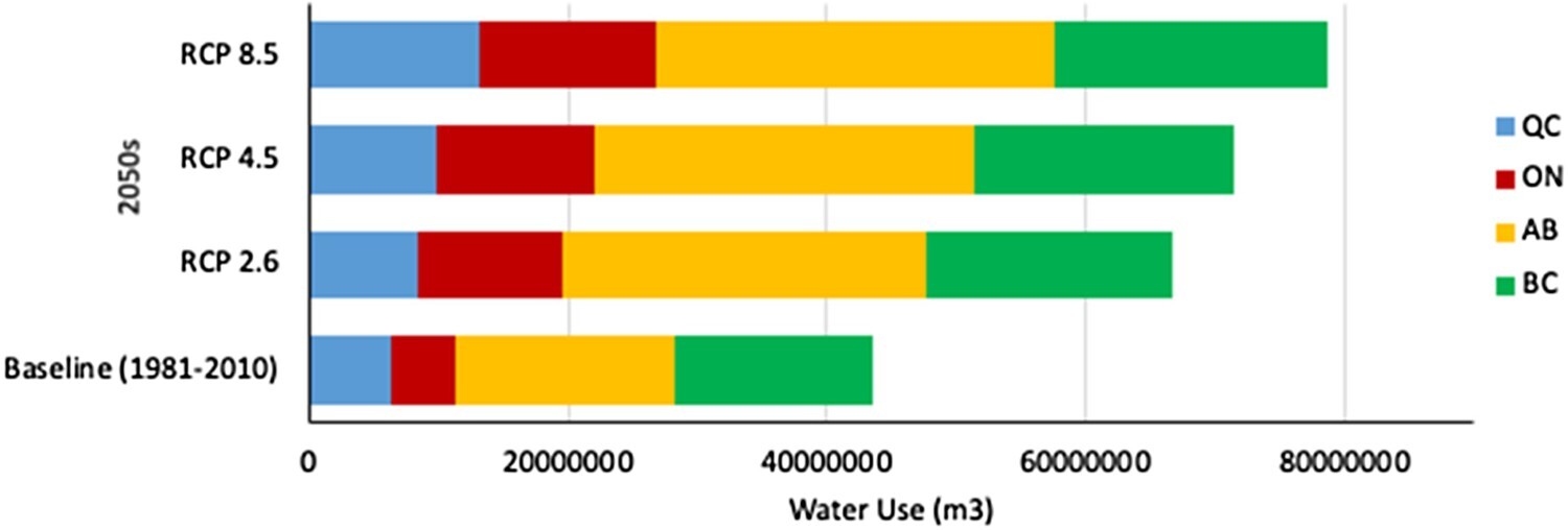 Explained: What Is Artificial Snow And Why It May Be Hazardous For  Environment And Athletes