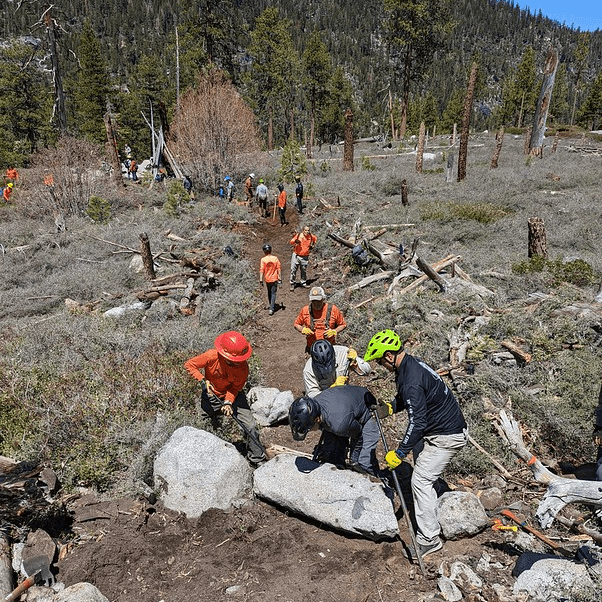 trail builiding