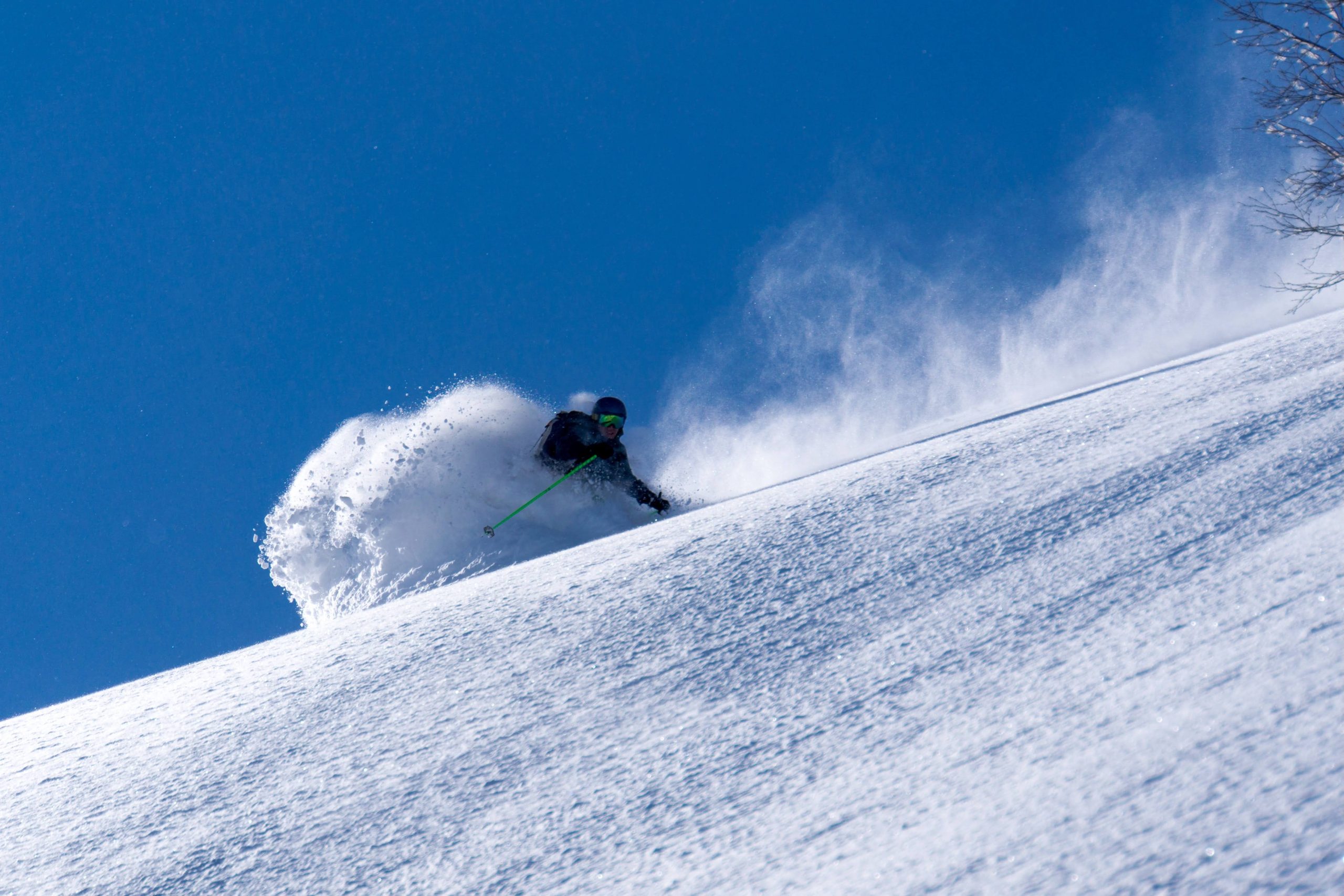 Niseko Powder