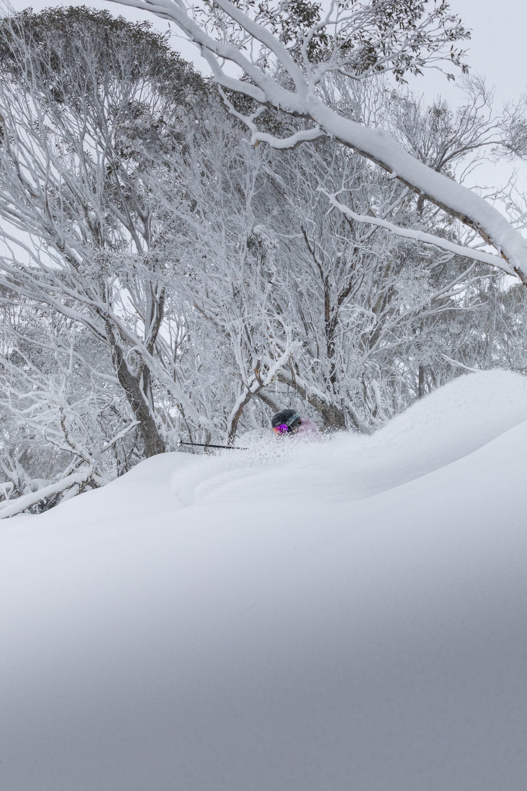 Thredbo