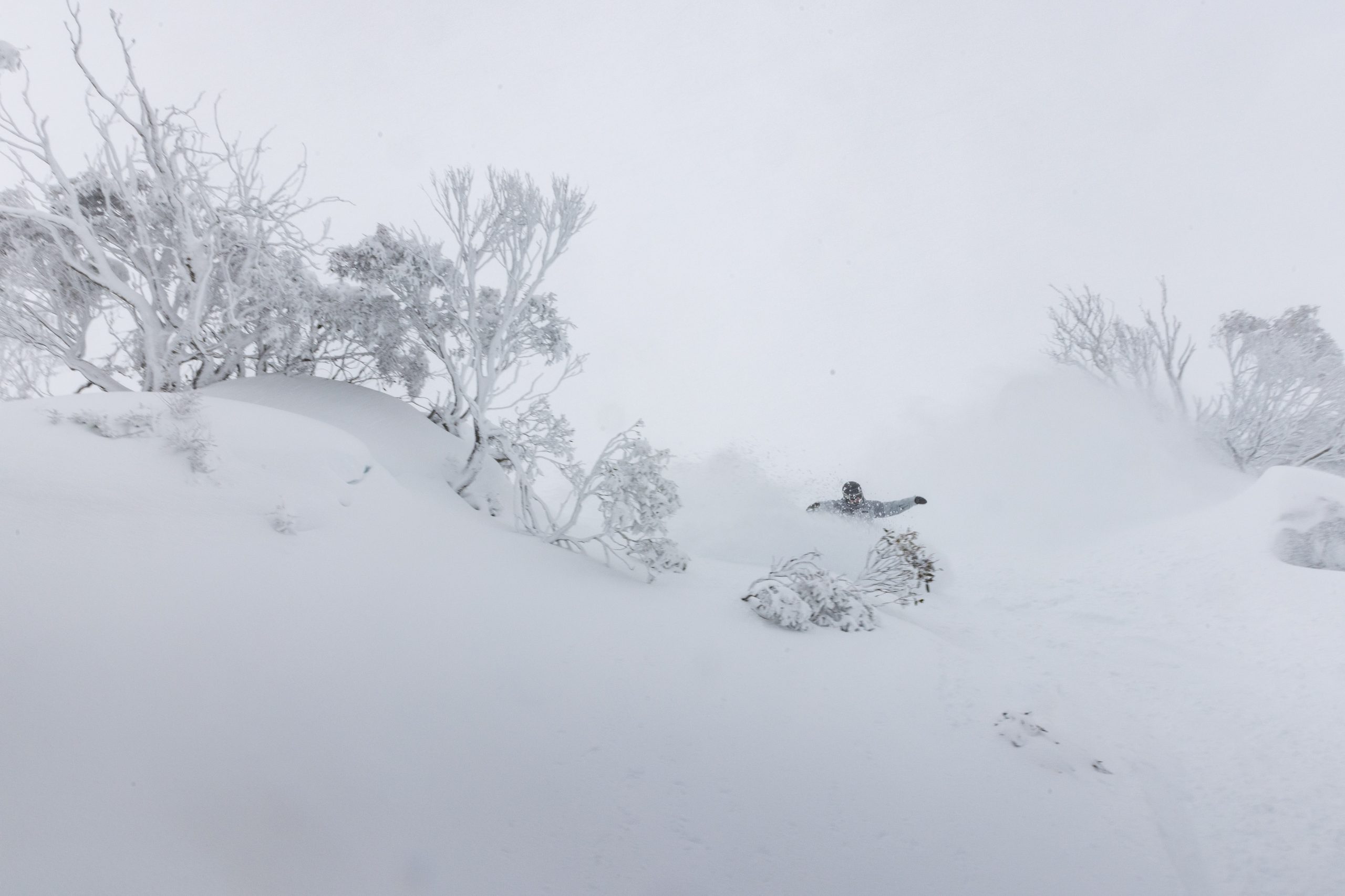 Thredbo