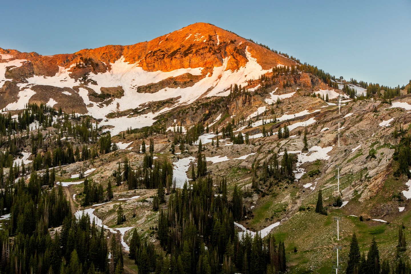 Summer At Alta