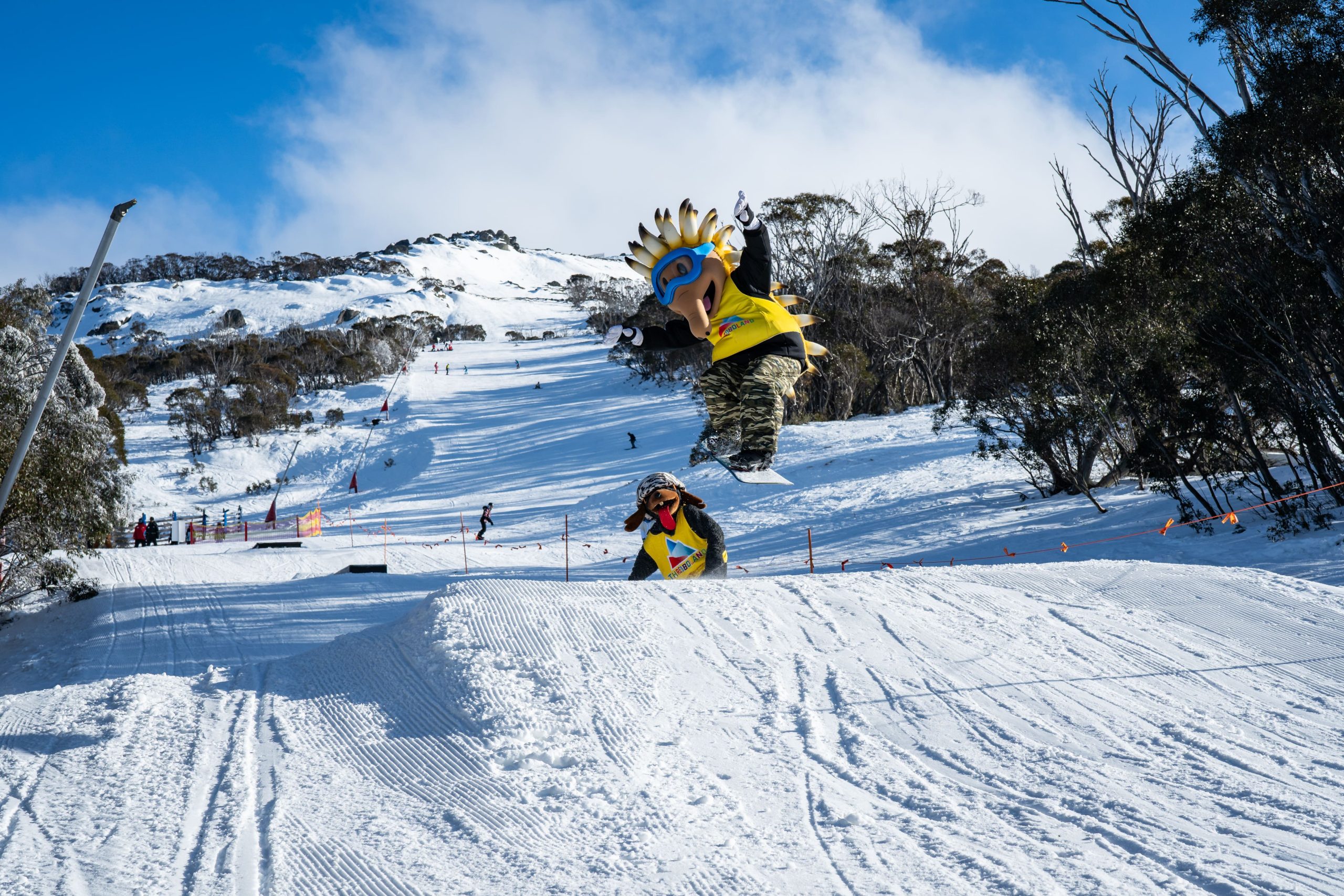 Thredbo park