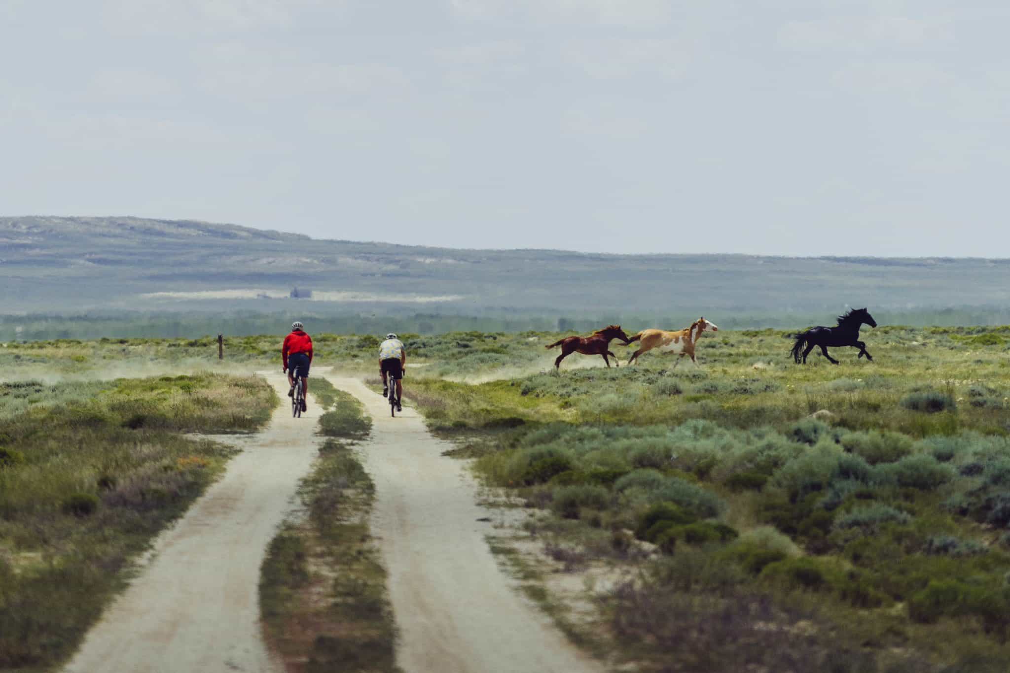 Alex Honnold, Tommy Caldwell, 