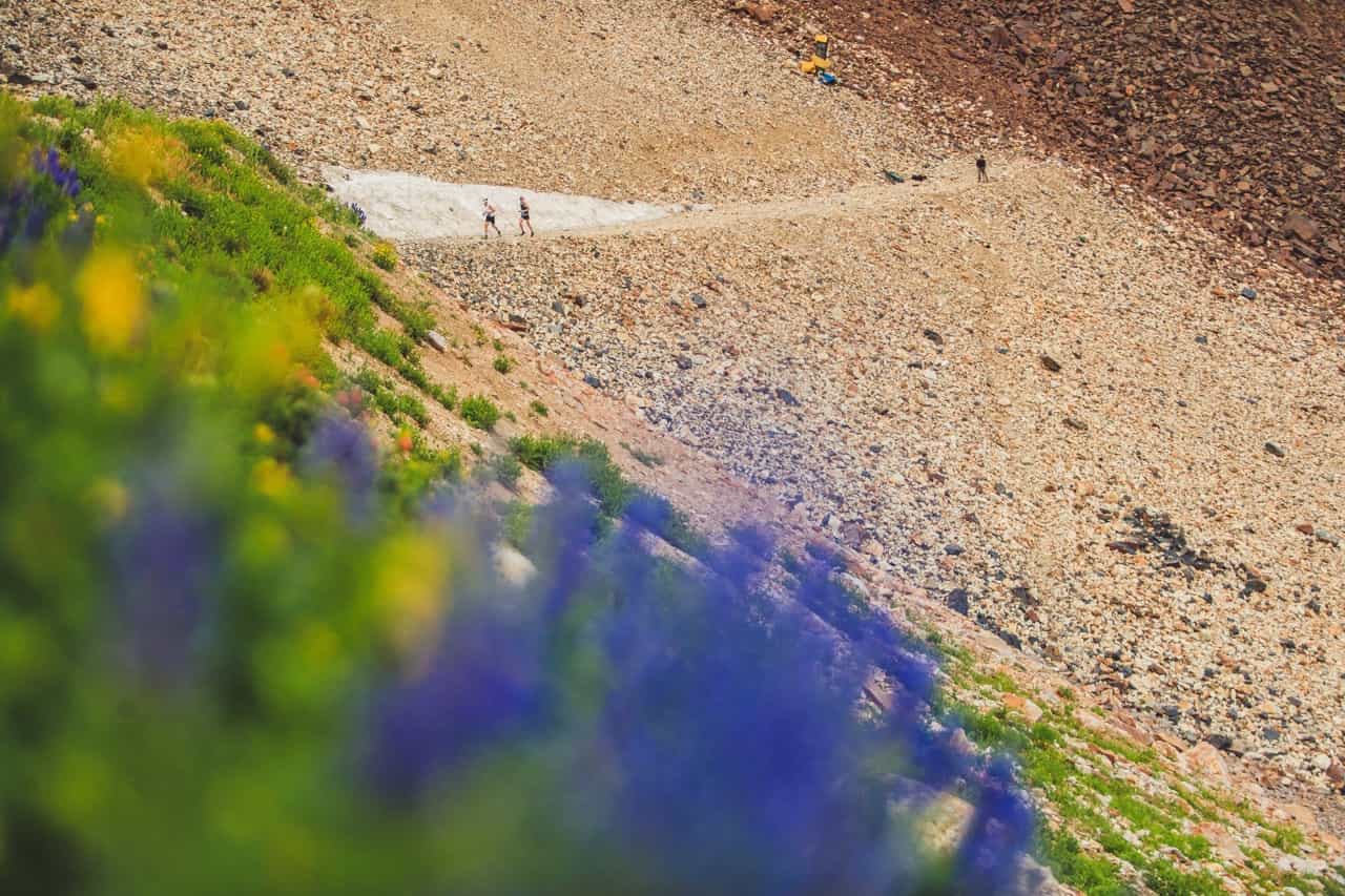 snowbird, utmb, utah