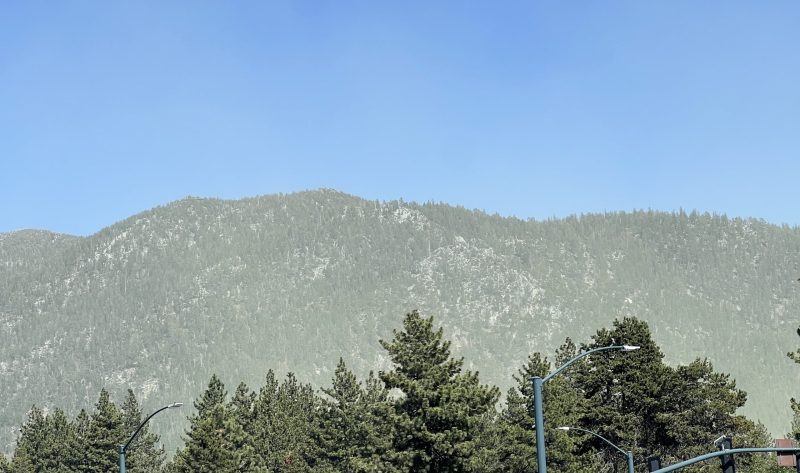 Clouds of yellowish green pollen 