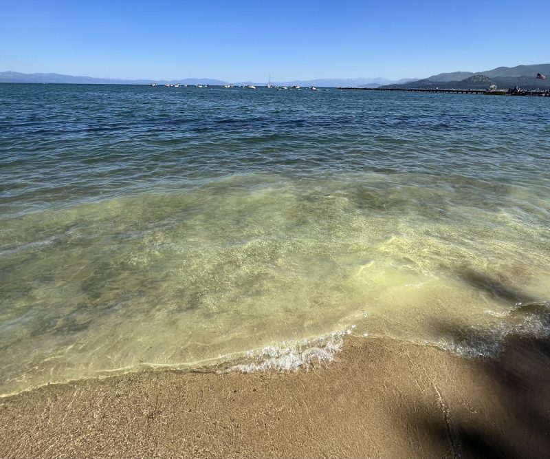 Pollen in Lake Tahoe