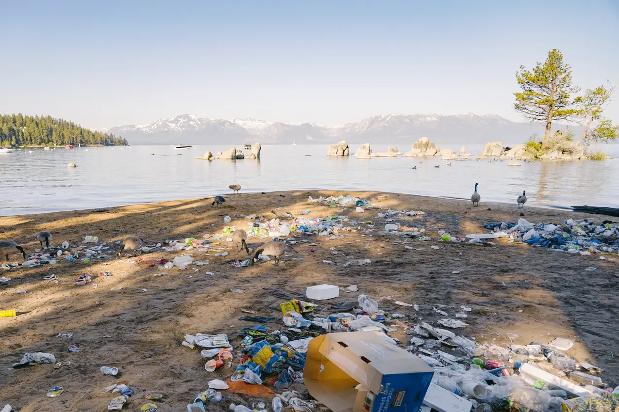 Microplastic all over the lake 