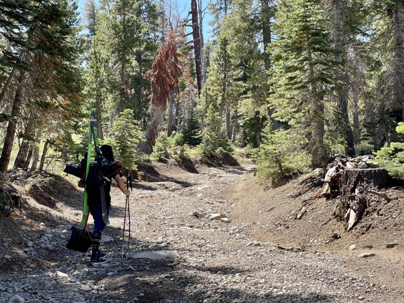 September Skiing at “The Patch,” CA: Washed Out Road to an Absolutely  Amazing Time - SnowBrains