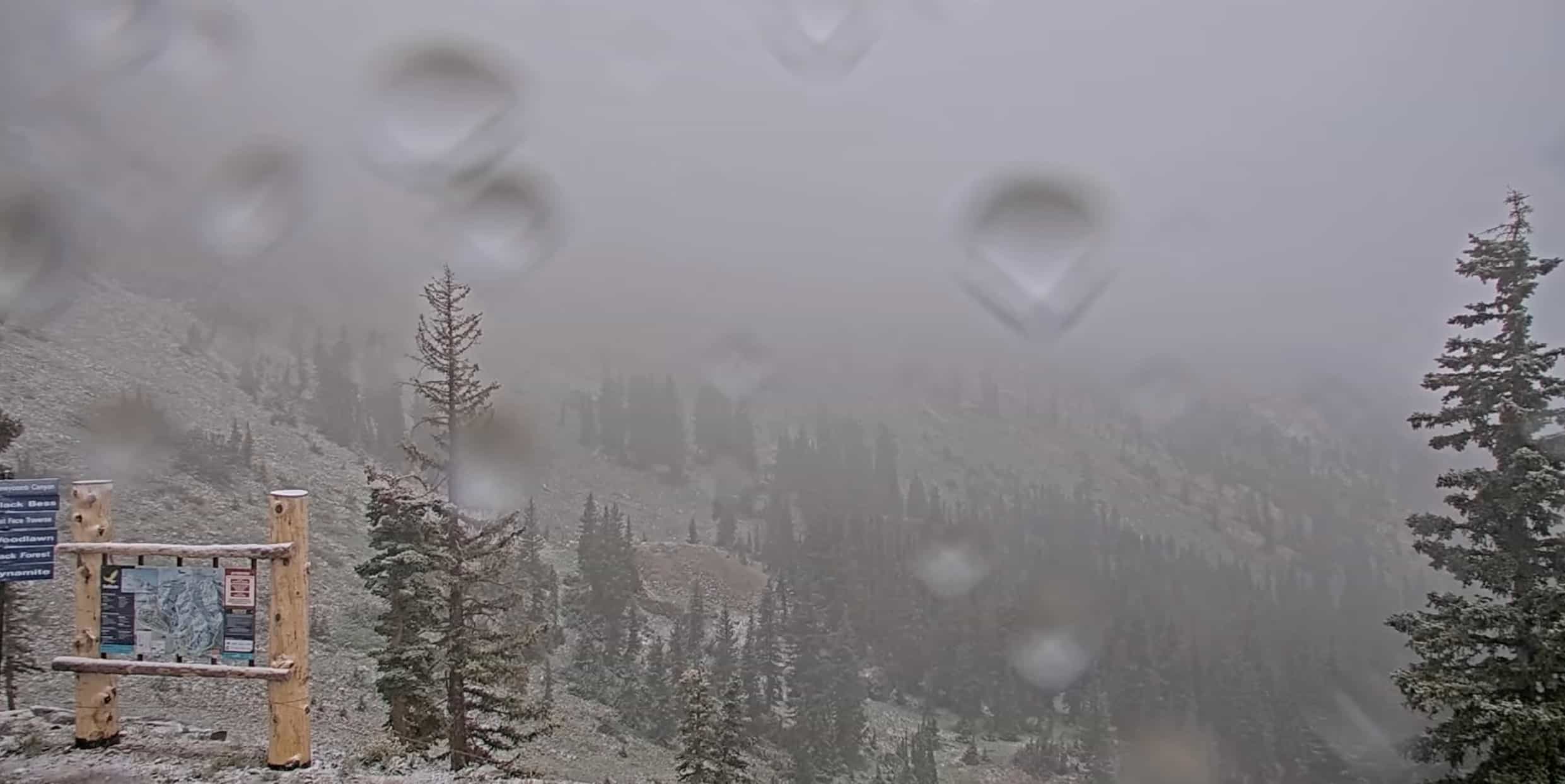 let it snow let it snow let it snow michael story let it snow let it snow let it snow michael story