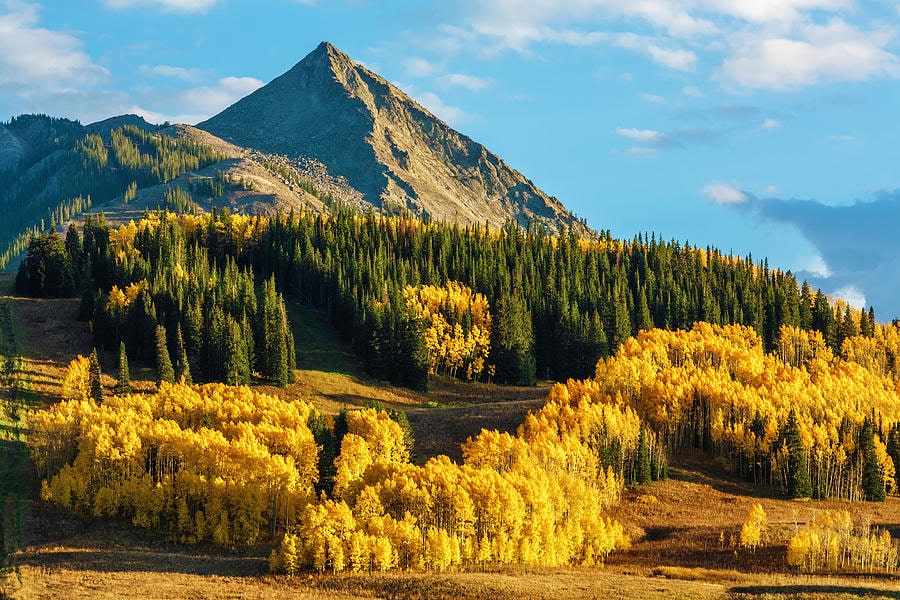 Crested Butte Fall Foliage