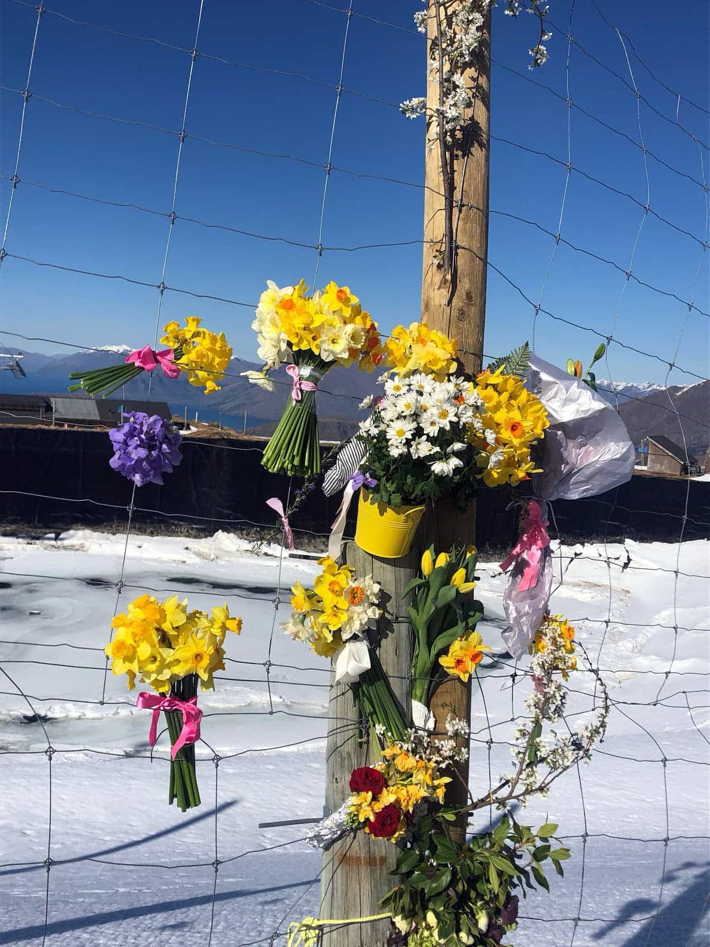 floral tribute, NZSki fined death woman