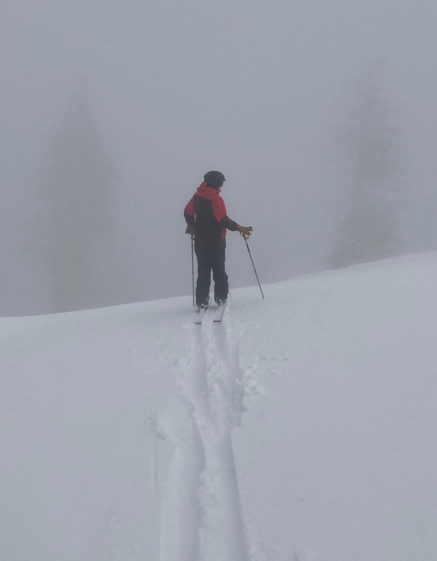 skier making fresh tracks in foggy conditions