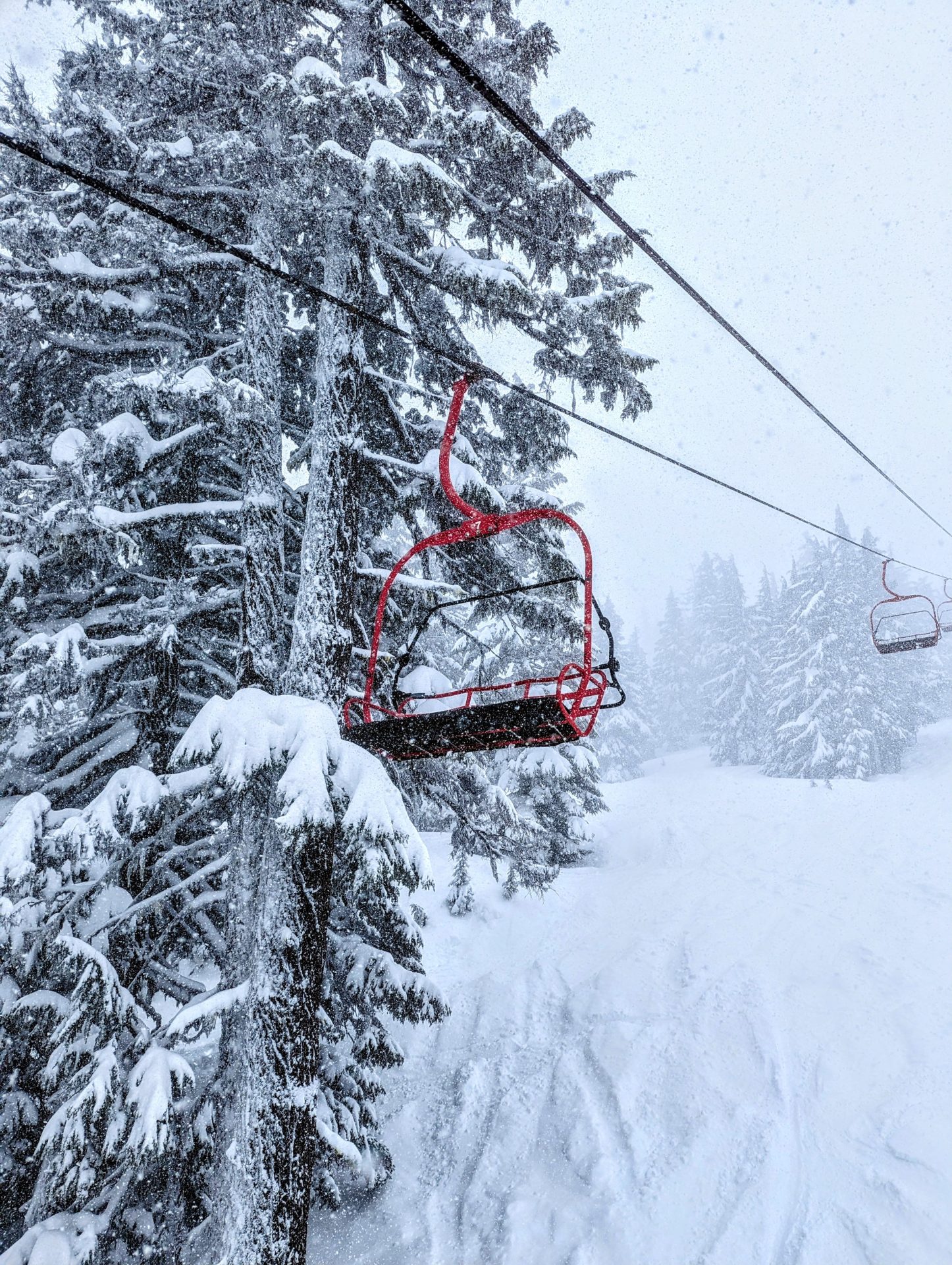 Powder day at mt bachelor