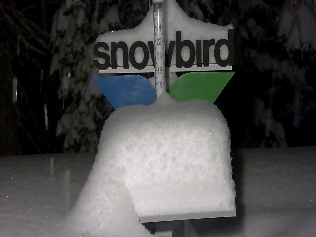 Snowbird Snow Stake with snow