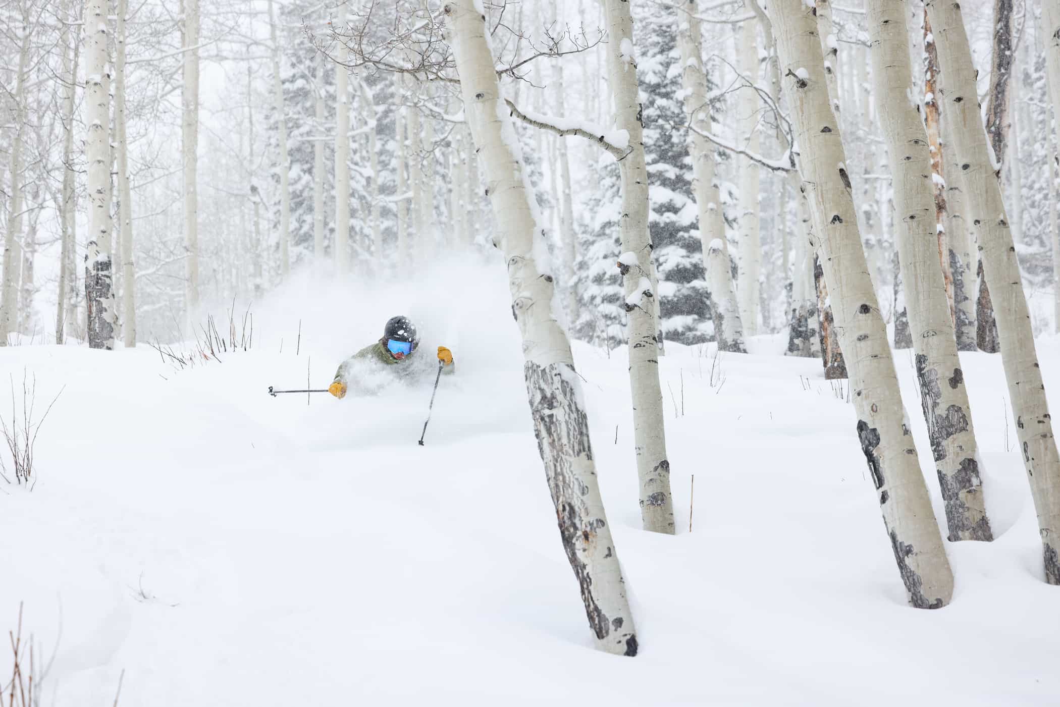 skier in fresh deep powder snow in the trees at Crested Butte Colorado