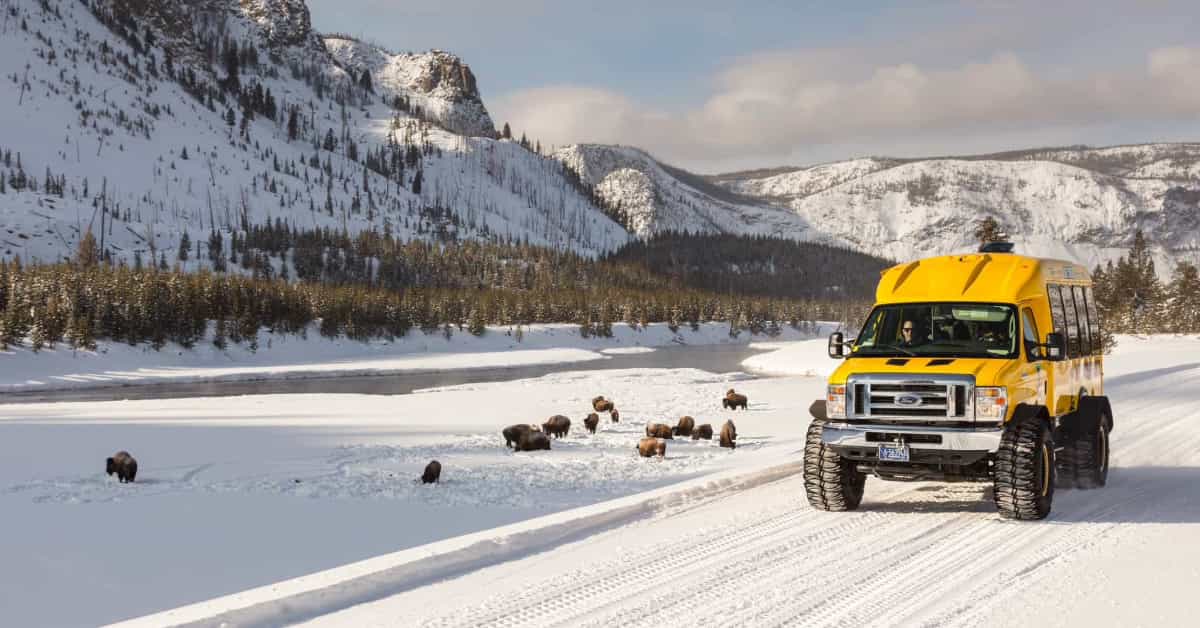 Snowcoach along the Madison River with bison