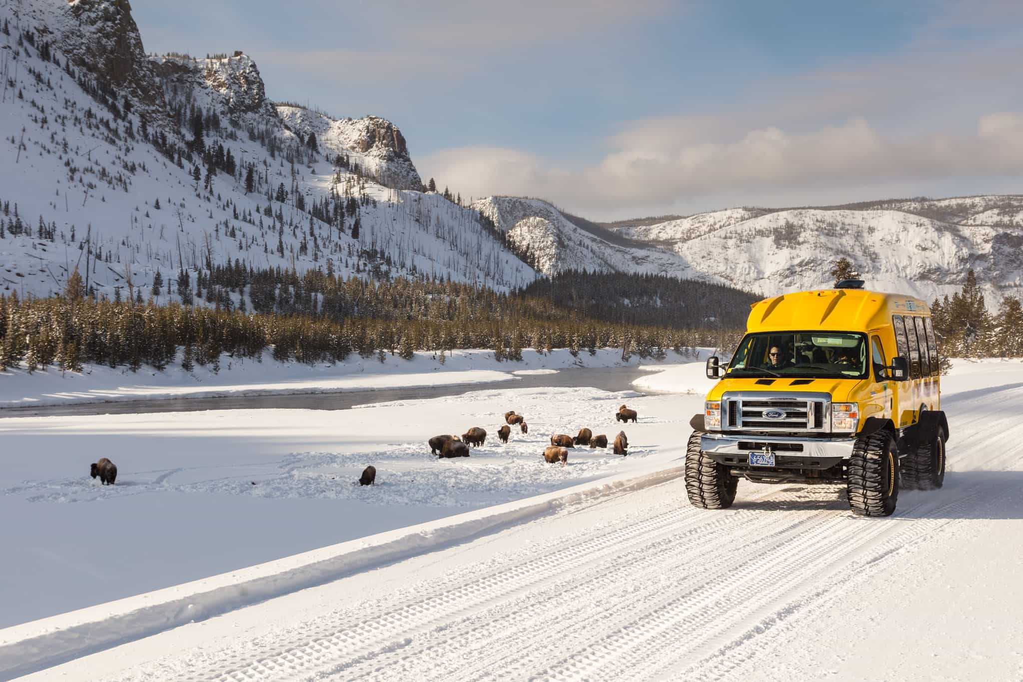 Snowcoach along the Madison River with bison, yellowstone in winter