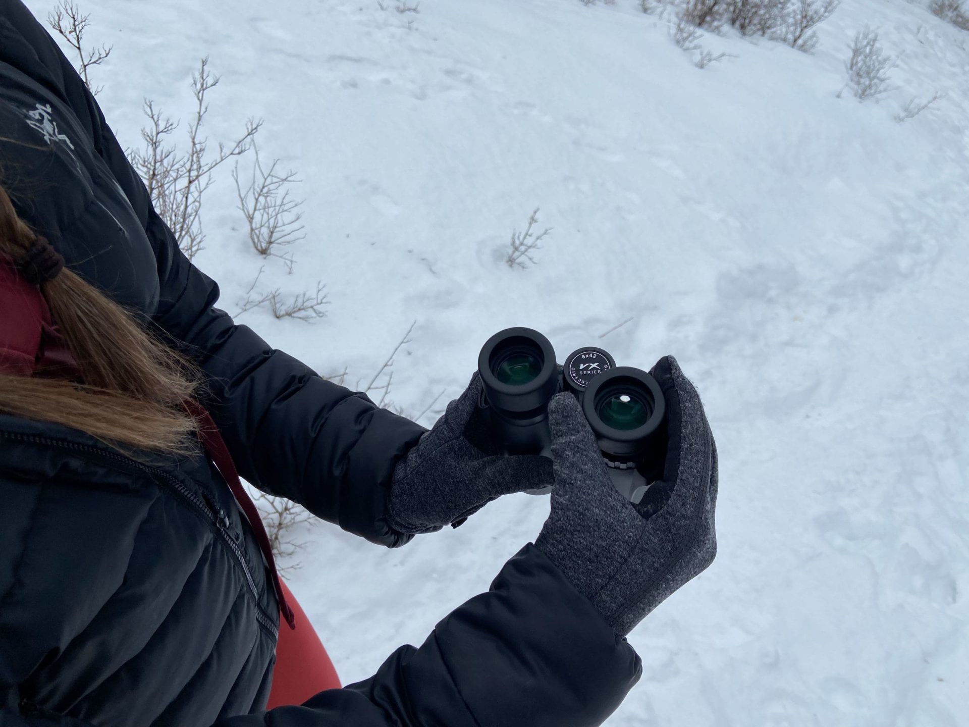 Winter binoculars