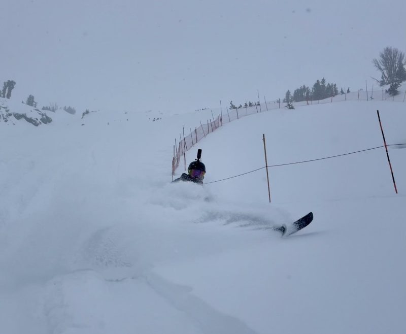 Freshies at Mammoth