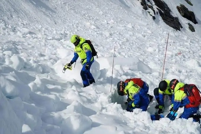 Inbounds avalanche fulmars rescue mission