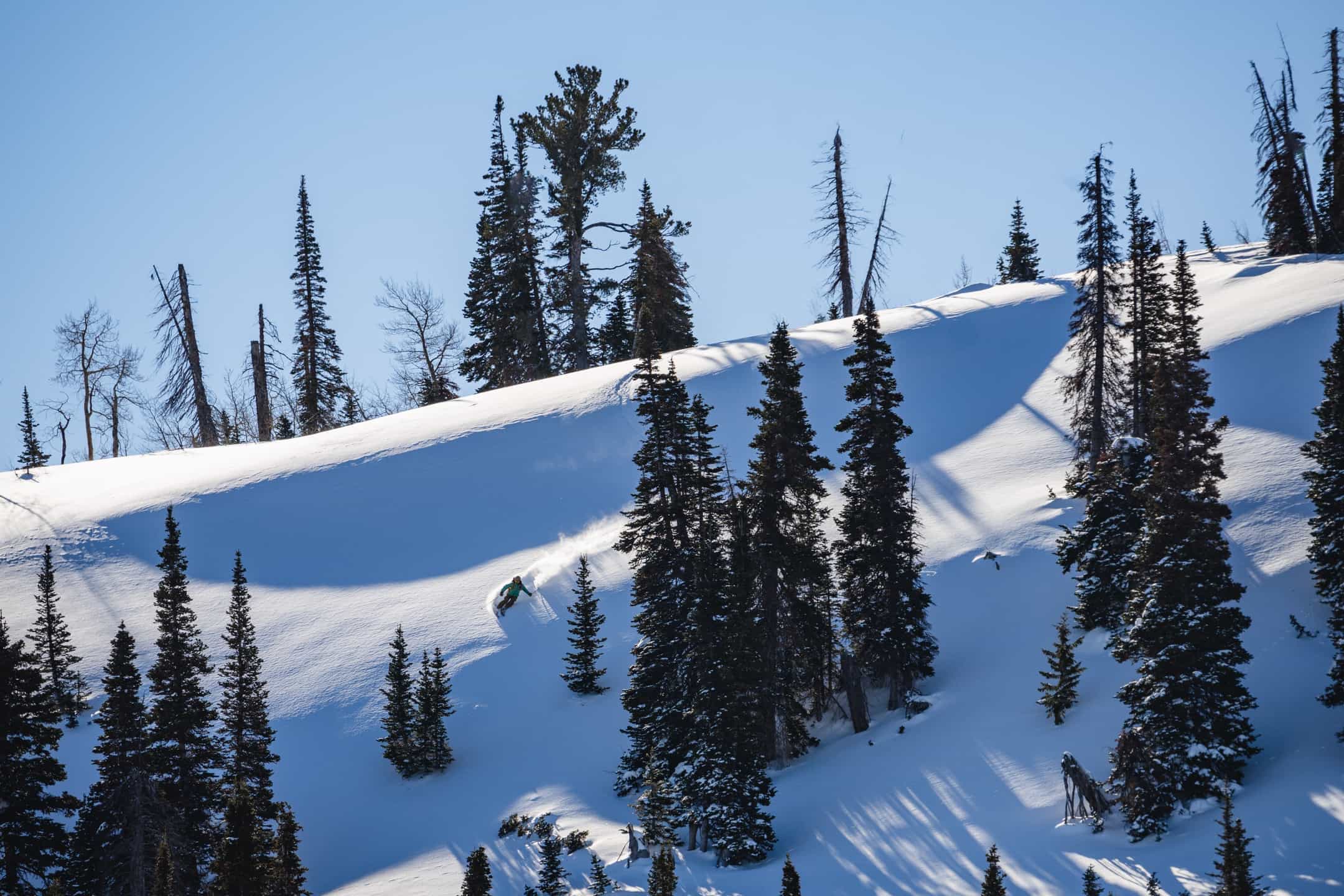 esquiador em uma pista de neve com árvores e céu azul