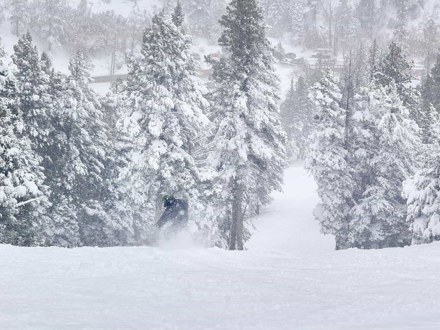 snowboarder in deep snow at snowy sipapu ski resort New Mexico