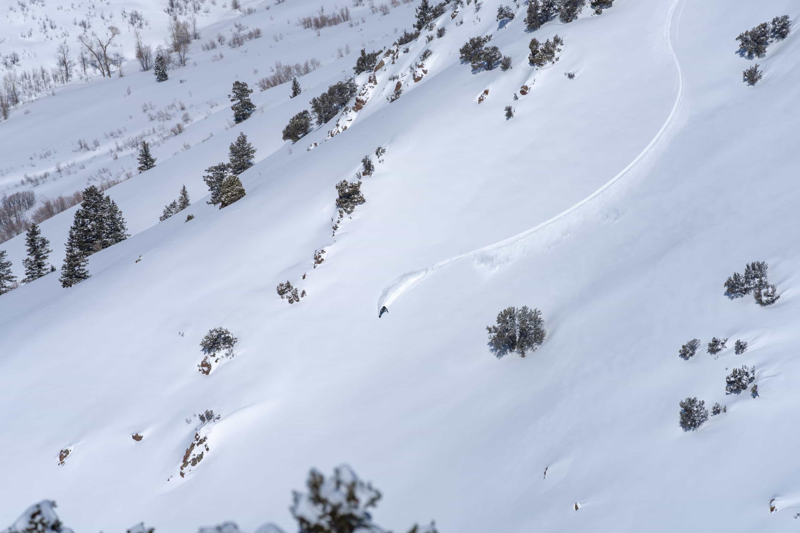 skier carving fresh tracks down snowy mountain