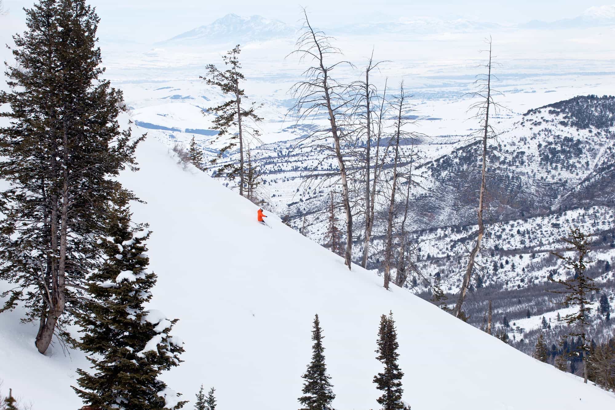 Esquiador em uma pista de neve com árvores ao fundo