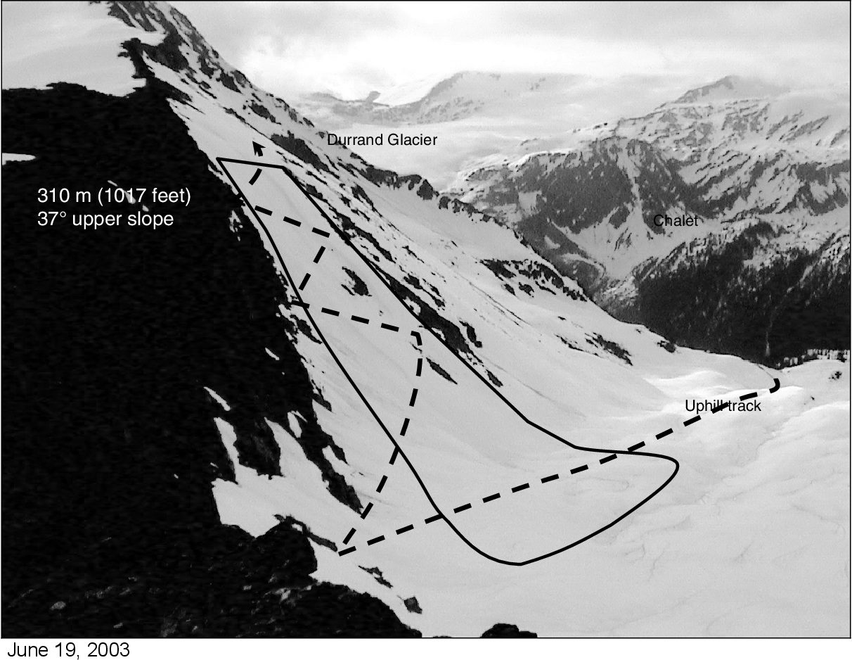 The Durrand Glacier Avalanche of 2003. Photo Credit: Semantic Scholar