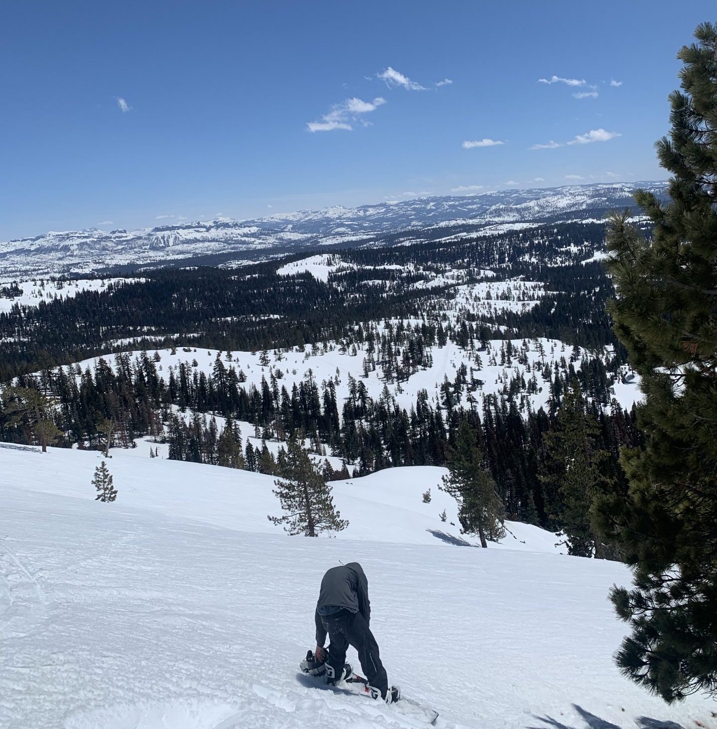 Bear Valley village runs, near the Mayan Cliffs, steep descent into Bear Valley's backside