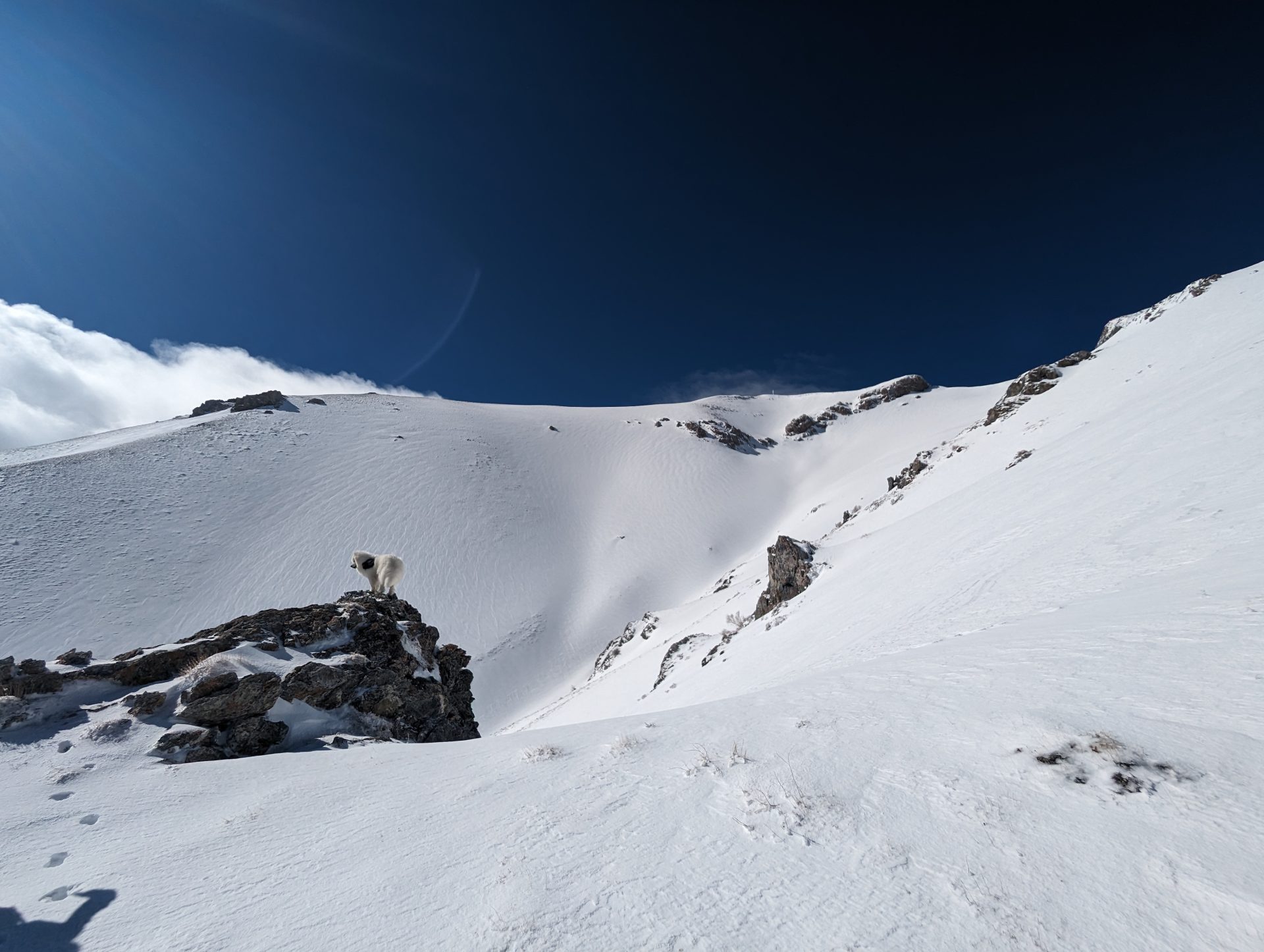 Star Peak, NV, Report: Aligning the Stars within the Nevada Desert