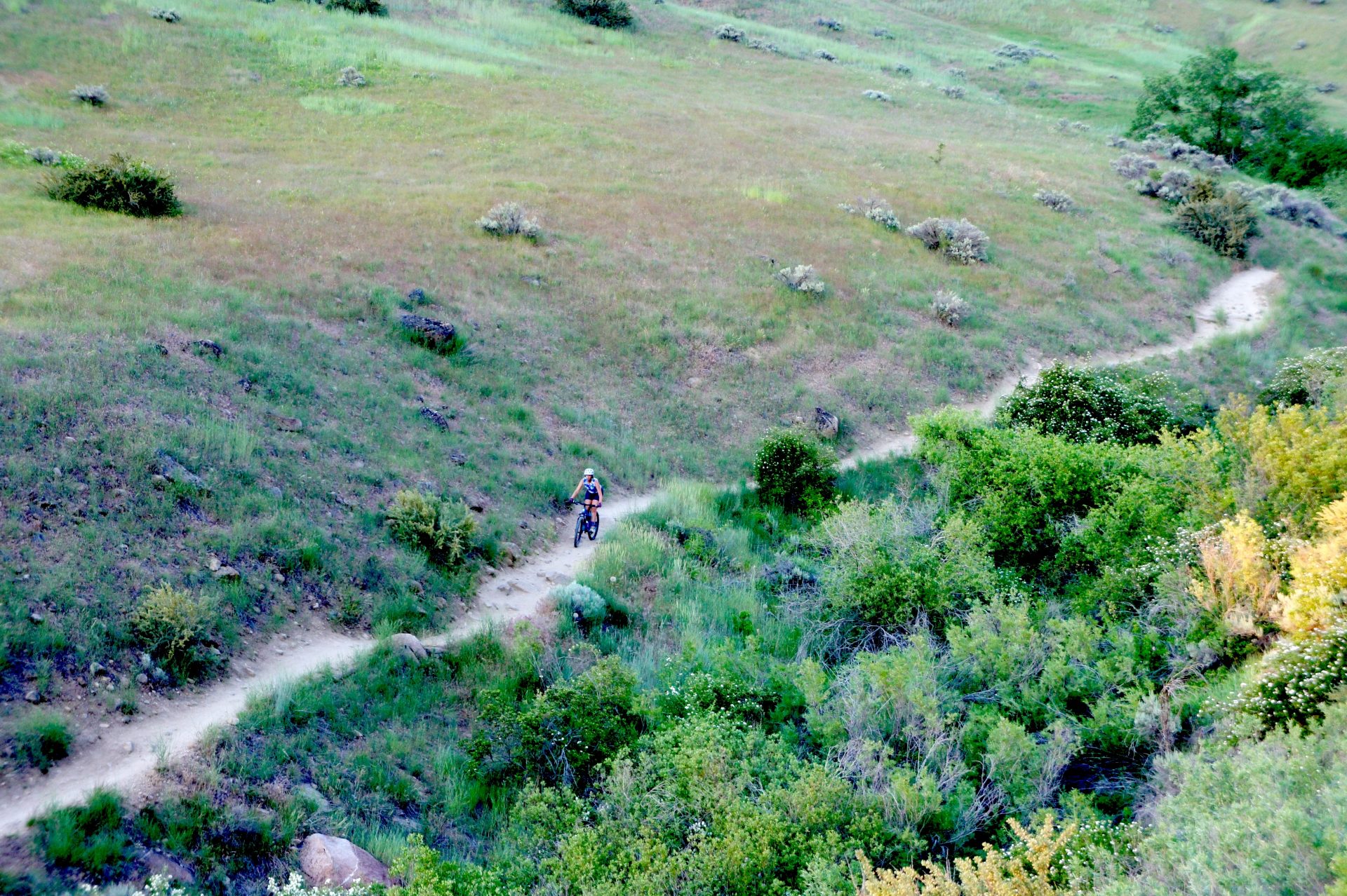 mountain biker descending a rocky trail next to a stream