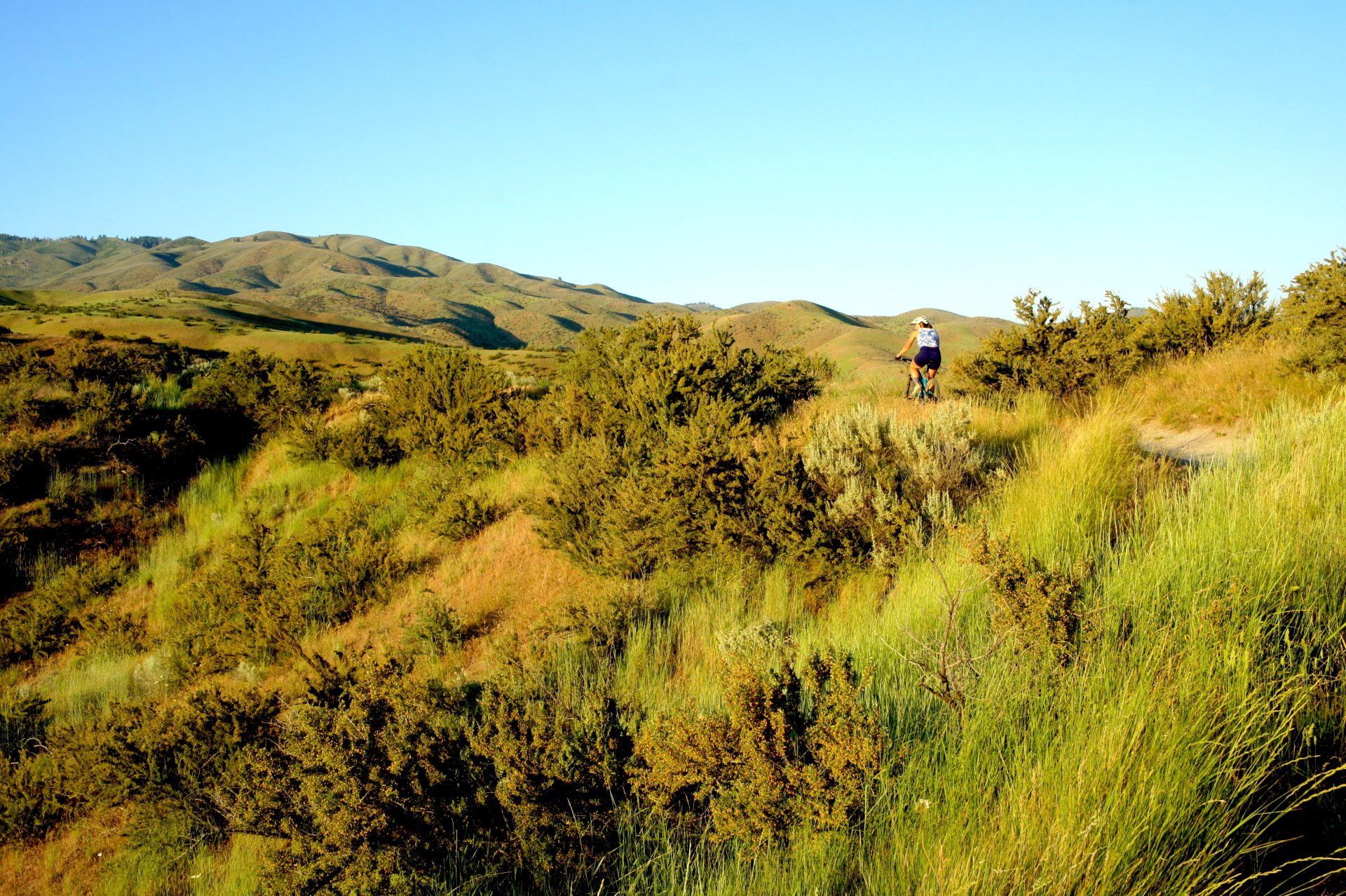 mountain biker climbing a grassy ridge near sunset