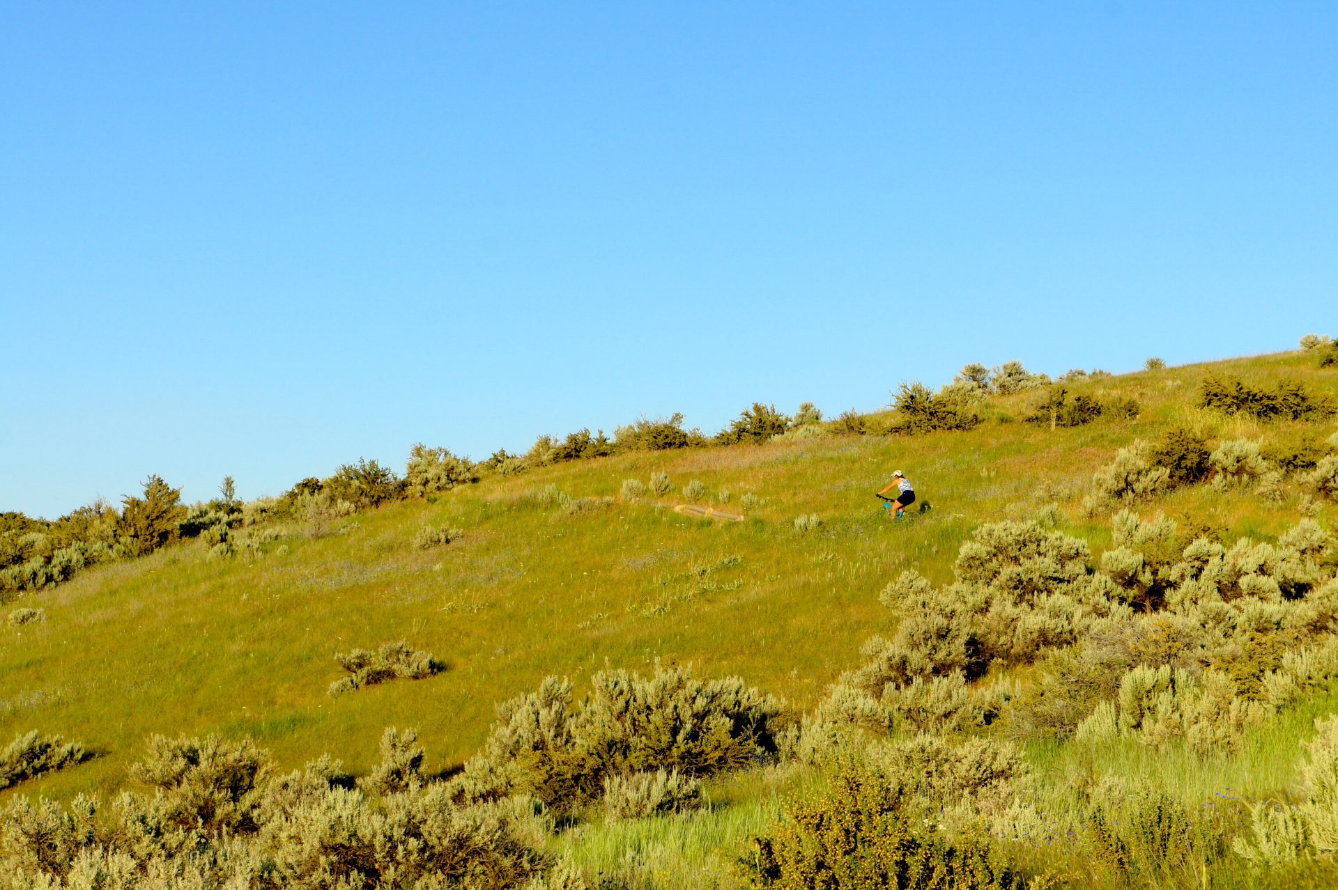 mountain biker on wide open grassy slope