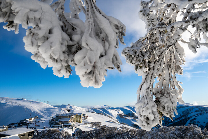 Snowstorm Transforms Australian Ski Resorts into Winter Wonderland