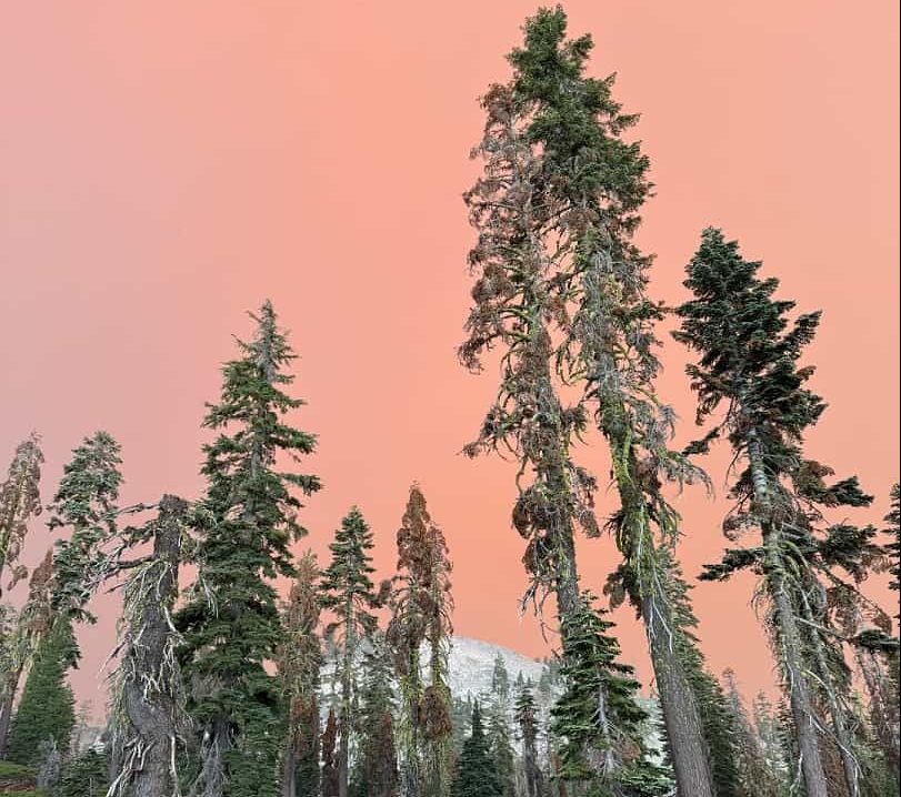 Lassen Volcanic Nationwide Park, CA, Closed As a result of Park Fireplace