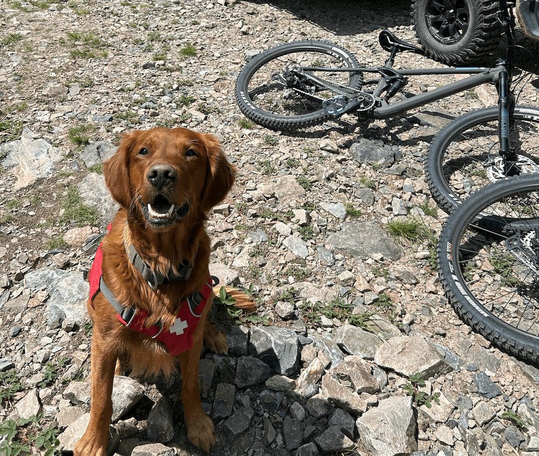 Ski Patrol Pup at Taos Bike Park